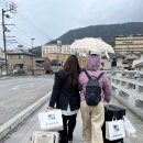 영계삼총사 | 다카마쓰, 나오시마 (2025)