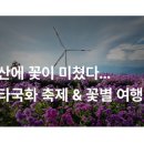 별,바람,꽃길 이미지