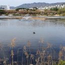 주식회사 제이엠산업 네이버블로그