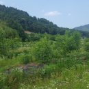 덕곡농장 이미지