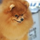 헬리우스 이미지