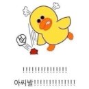크래쉬인 용산 | 요즘 성격 닝닝