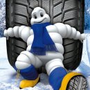 564-1모터스 이미지