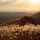 새별오름 이미지