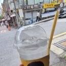 #컴포즈 솔티드 쿨 리치 후기｜운동 후 갈증 날 때 생각나는 컴포즈 신메뉴 여름 음료 추천