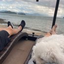 요기가펜션 이미지