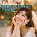 정진행정사사무소 이미지