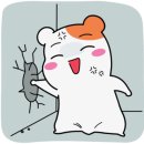 에이치비엘 이미지