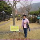 상양관광농원 이미지