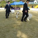 시골축산 이미지