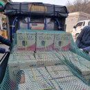 대륜농장 이미지