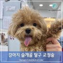 행신동물의료센터 이미지