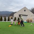 김천시 구성면사무소 화장실 | 김천 단체 독채 풀빌라 펜션 자쿠지 [일월여정 D동 새벽여정]