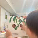 별똥별비 | 아기 인지책 보드북 별똥별 출판사 퐁퐁퐁 구멍책 돌아기 전집 추천