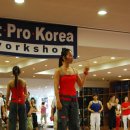 June 6 2008 - 26th Fit Pro Korea Workshop --Stet-Fit 1 이미지