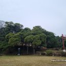 완도 묘당도 이충무공 유적 이미지