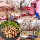 [양산 원동미나리축제]맛집“꽃집 미나리 삼겹살” 순매원 근처 매화뷰 야외 포차감성 미나리삼겹집 추천~