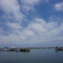 세화항포구 이미지