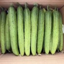 다한농장 이미지