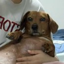 가평유도체육관 | 퇴사하고 공부 열심히 하다가 게임중독된 2월