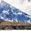 (주)조이캐스트 이미지