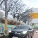 보성남초등학교 이미지