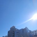 강릉연세정형외과의원 네이버블로그
