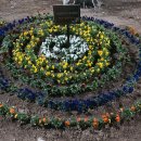 장자대로 이미지