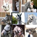 녹원목장 이미지