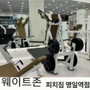 피치짐 네이버블로그