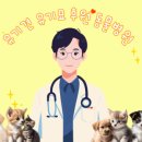 천풍동물병원 이미지