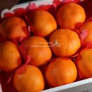 웅이네농장 이미지