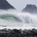 동부 비상-14호 이미지