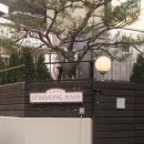 (구)안성터미널 | [안성] 크리스마스 감성 카페 슈티뭉하우스 후기｜주택개조 분위기 카페