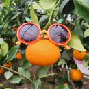 세동2통경로당 이미지