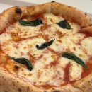 용산-267 | [남영역 맛집] 용산 도만다, 인생 정통 나폴리 피자 내돈내산 후기 - 메뉴, 주차방법 등