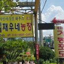 재우농장 네이버블로그