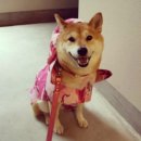 아투데이