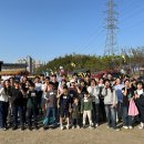 문화체험활동(기지시 줄다리기 축제) 이미지