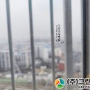 (주)시그니처필름 네이버블로그