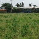 토산농장 이미지