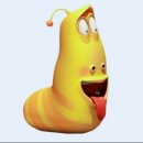 삼강나루캠핑장 이미지