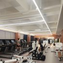 DS 피트니스 이미지