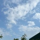 (주)이마트 양산점 이미지