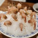 마포꽃새우활어회