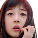 지당 이미지