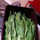 산마늘펜션 이미지