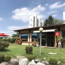 꽃잔디식당 이미지