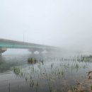 조암낚시터 이미지