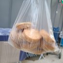 아영이네국화빵 이미지